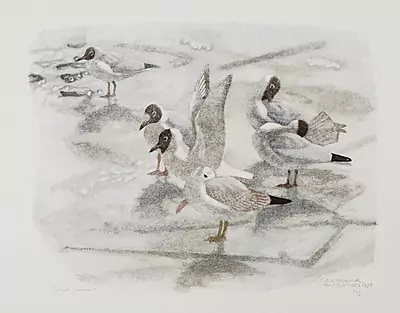 Robert Hainard — Dezember 2015 (A139) - Auktionsstart: 11.12.2015, 15:30 — Schuler Auktionen