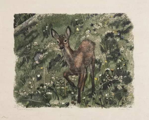 Petit chevreuil curieux