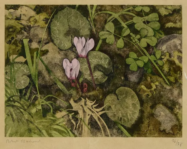 Robert Hainard (1906-1999) — Genève Enchères