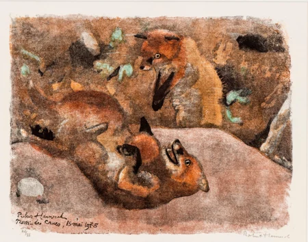 Renards jouant
