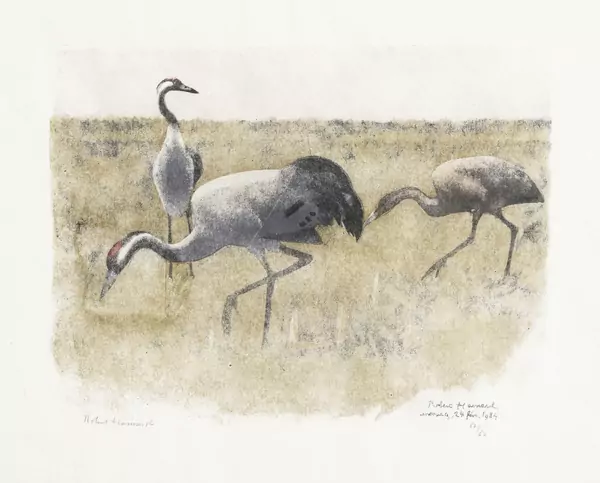Famille de grues