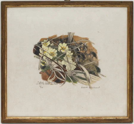 Primevères et bombyle