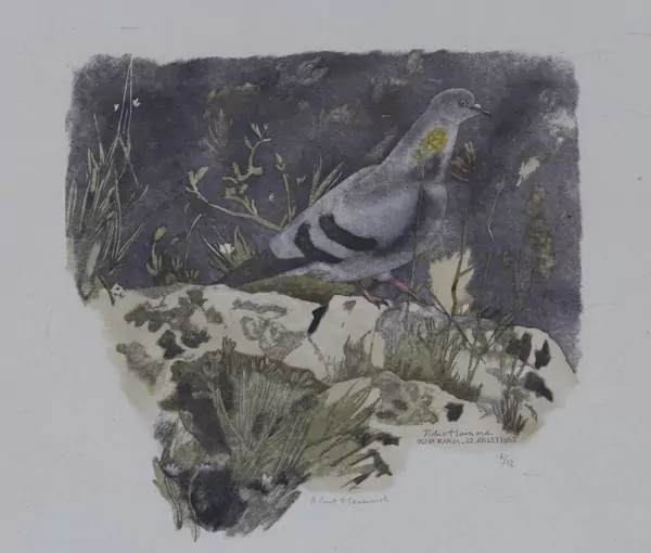 Robert Hainard (1906-1999) — Genève Enchères