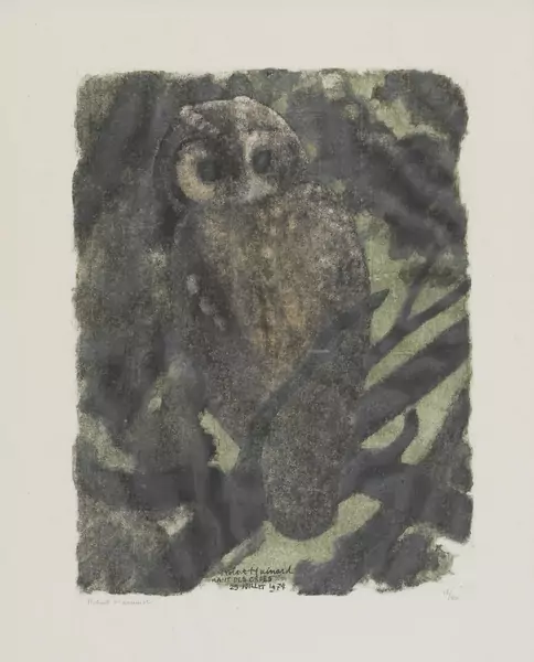 Robert Hainard (1906-1999) — Genève Enchères