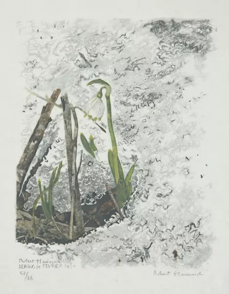 Robert Hainard (1906-1999) — Genève Enchères