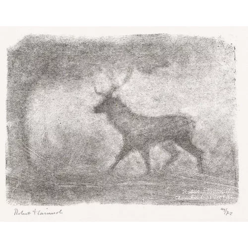 Robert Hainard — "Cerf, clair de lune et brouillard".