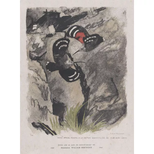 Robert Hainard — Deux Grimpereaux.