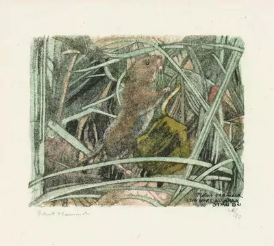 Robert Hainard — Juni 2025 (A177) - Auktionsstart: 18.6.2025, 09:00 — Schuler Auktionen