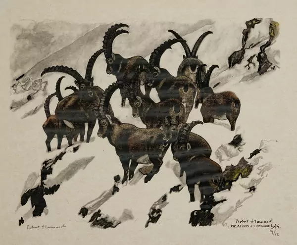 Robert Hainard 1906-1999) — Genève Enchères