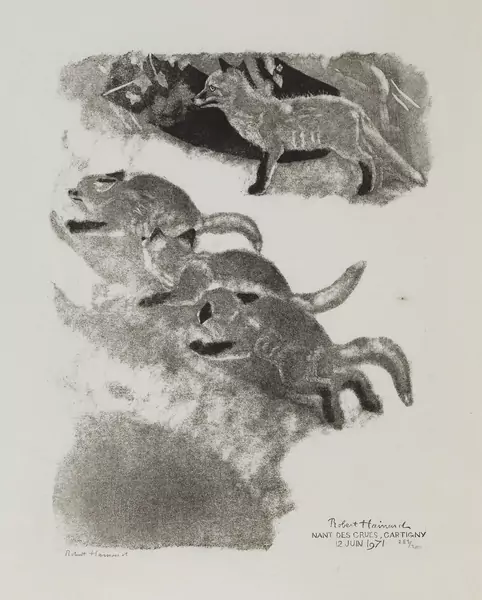 Robert Hainard (1906-1999) — Genève Enchères