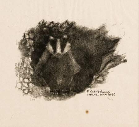 Animaux de la forêt
