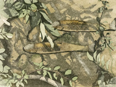 Poissons