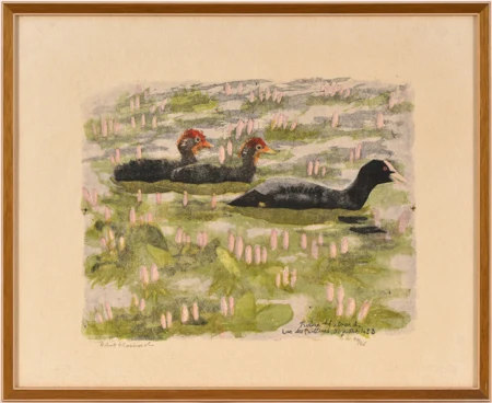 Poule d'eau et ses petits
