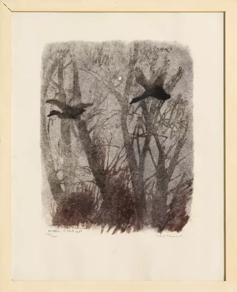 Canards