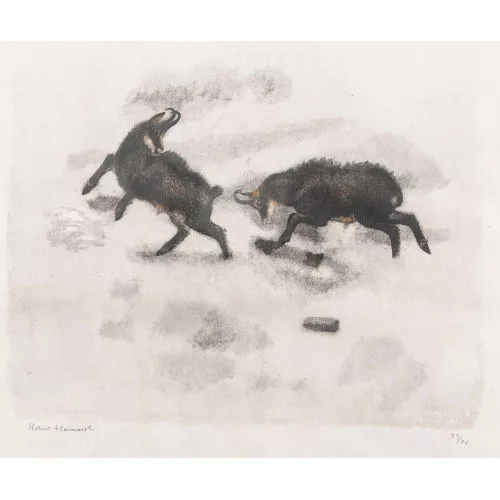 Robert Hainard — Défi de chamois.