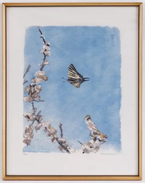 Robert Hainard — Robert Hainard (1906-1999), Papillon (Le flambé) et