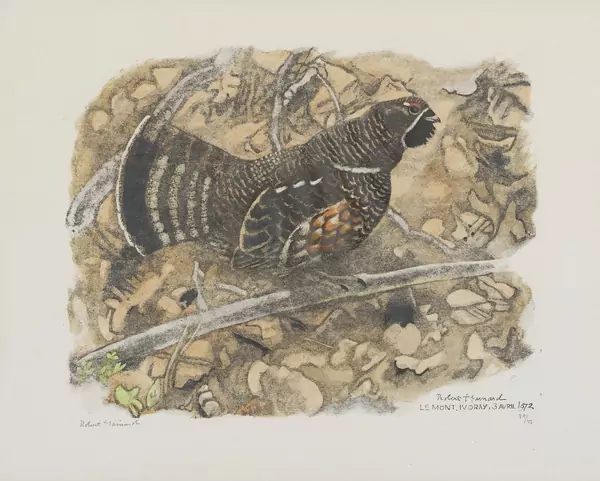 Robert Hainard (1906-1999) — Genève Enchères