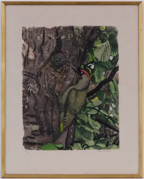 Robert Hainard — Pic vert