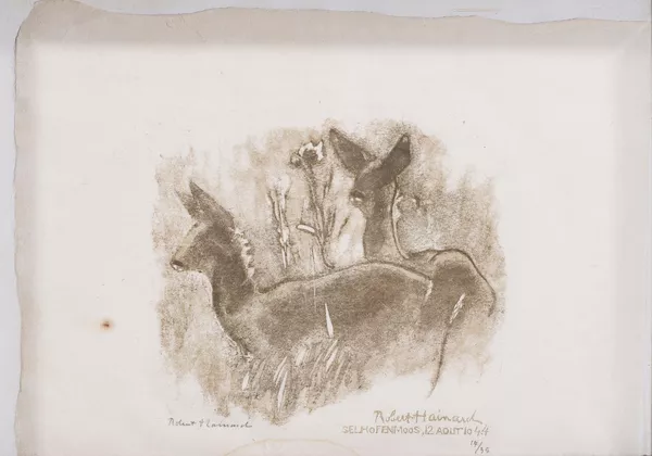 Robert Hainard (1906-1999), "Deux faons, Selhofenmoos, 12 août 1944". — DognyAuction