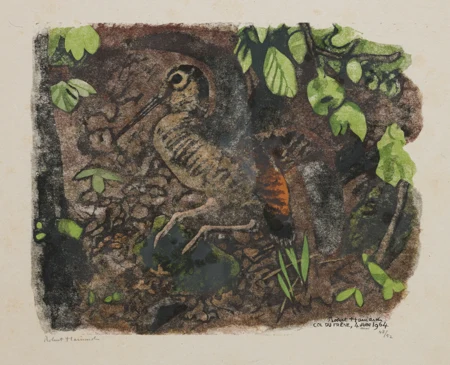 Oiseau