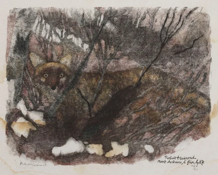 Renard