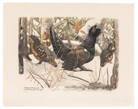 Grand coq et deux poules