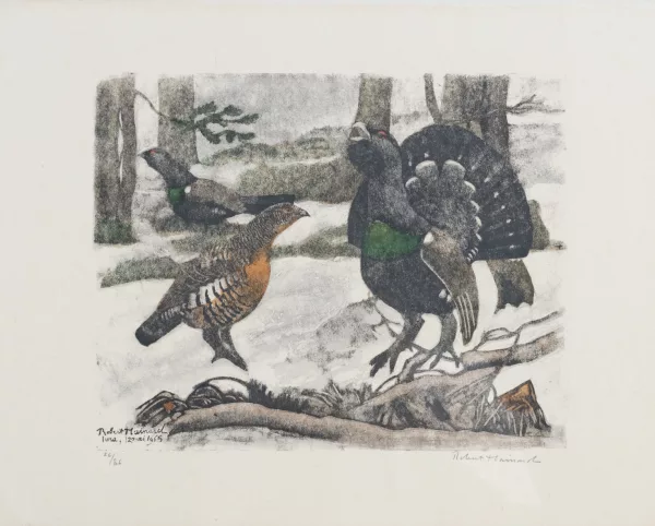 Robert Hainard — Coq, poule et jeune coq, Jura, 12 mai 1965