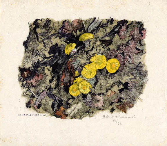 Robert Hainard — Les taconnets, 1952
