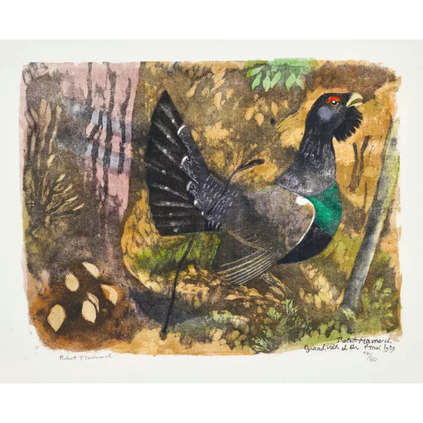 Robert Hainard — "Grand coq au soleil".