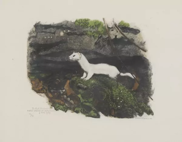 Robert Hainard (1906-1999) — Genève Enchères