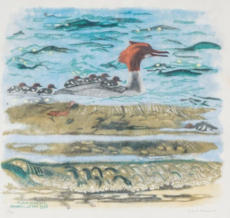 Canard et canetons