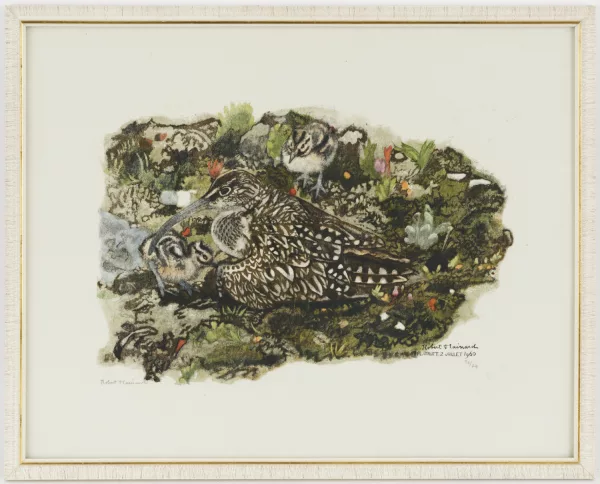 Robert Hainard — Corlieu et poussins"