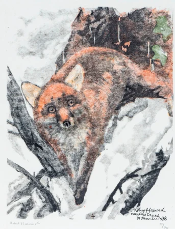 Renard dans la neige