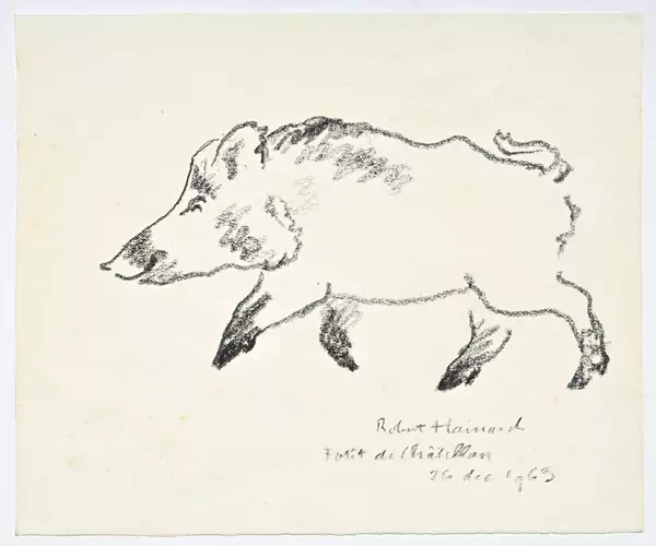 Sanglier