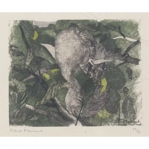 Robert Hainard — "Loir gris".