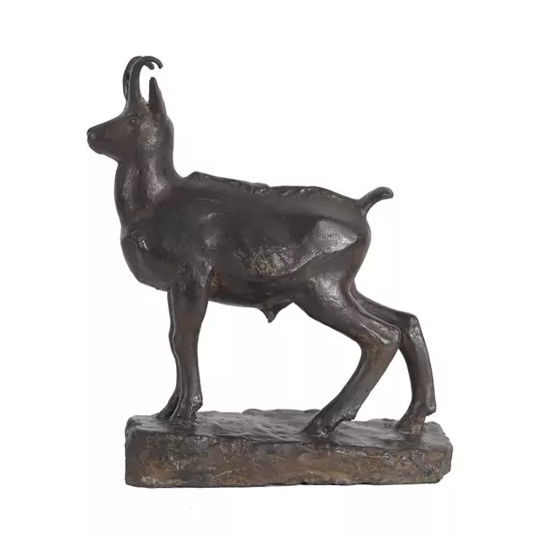 Chamois