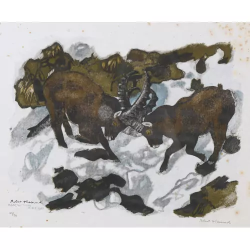 "Combat de bouquetins"