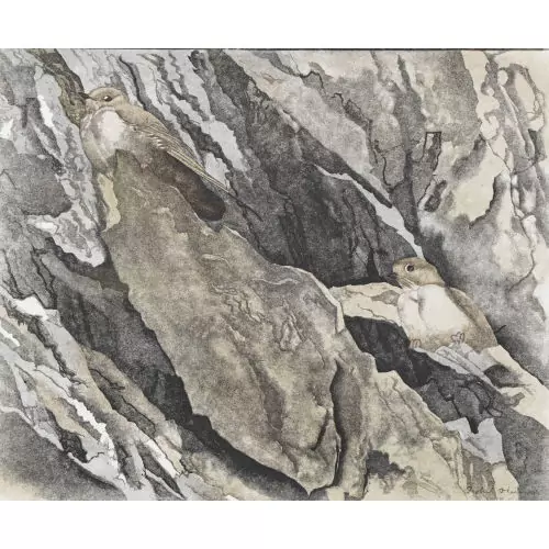 "Hirondelles de rochers"