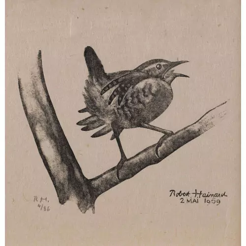 "Troglodyte"
