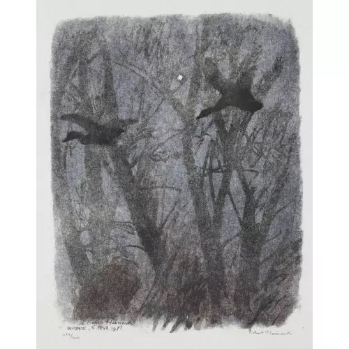 "Canards et étoile"