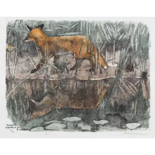 "Jeune renard dans les roseaux"