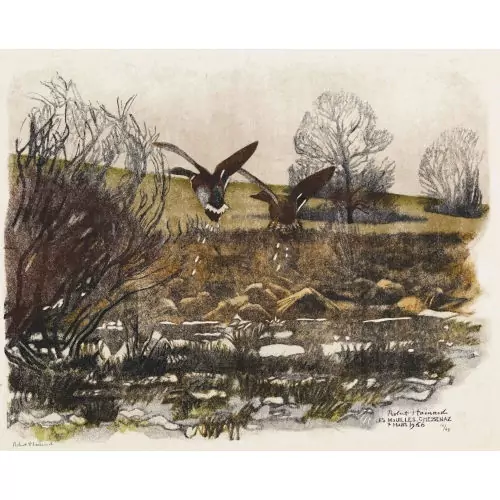 "Couple de colverts et buisson de saule"