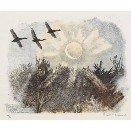 "Le soleil se lève sur le marais"