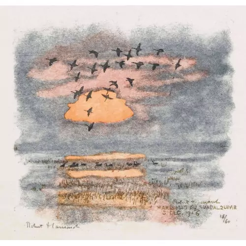 "Oies cendrées et soleil levant"