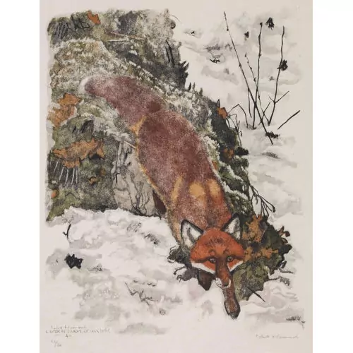 "On ne se méfie jamais assez (renard)"