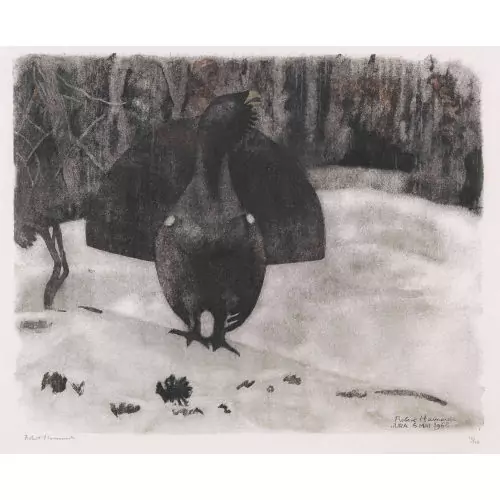 "Grand coq à l′aube, sous la pluie"