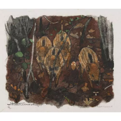 "Quatre petits marcassins"