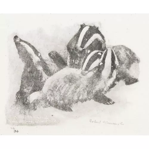 "Tas de blaireaux"