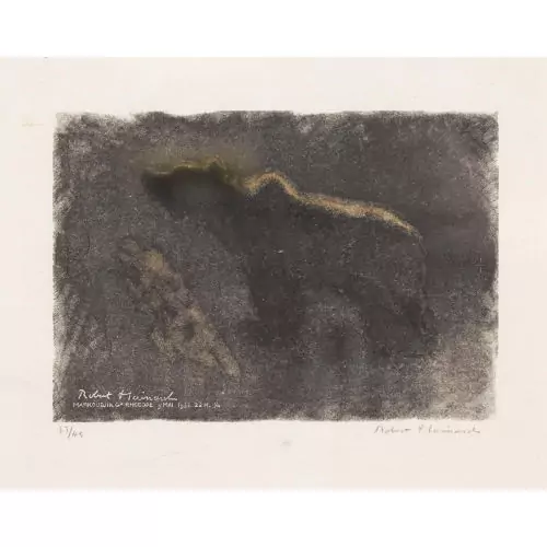 "Ours éclairé par un rayon de la lune, flairant"