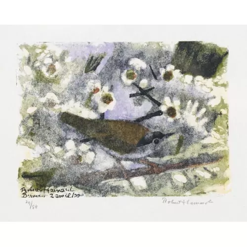 "Fauvette à tête noire et fleurs de poirier"